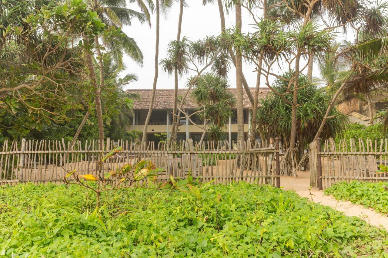 Villa Saffron Hikkaduwa Exterior foto